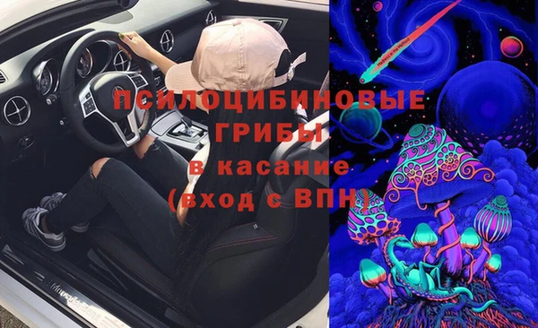 ГАЛЛЮЦИНОГЕННЫЕ ГРИБЫ Волоколамск