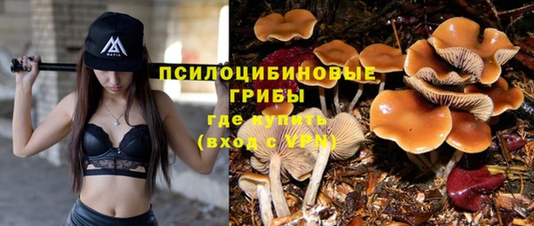 ГАЛЛЮЦИНОГЕННЫЕ ГРИБЫ Волоколамск