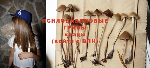 mdpv Волосово