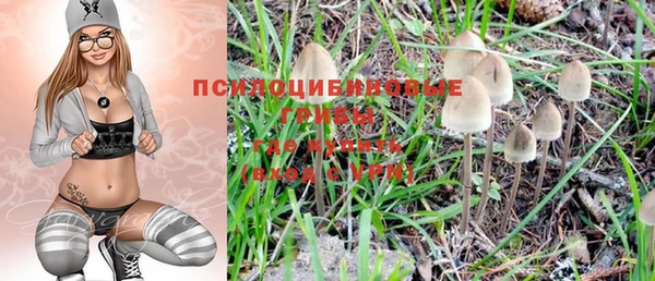 ГАЛЛЮЦИНОГЕННЫЕ ГРИБЫ Волоколамск